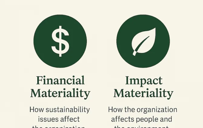 Graphic representing financial and impact materiality